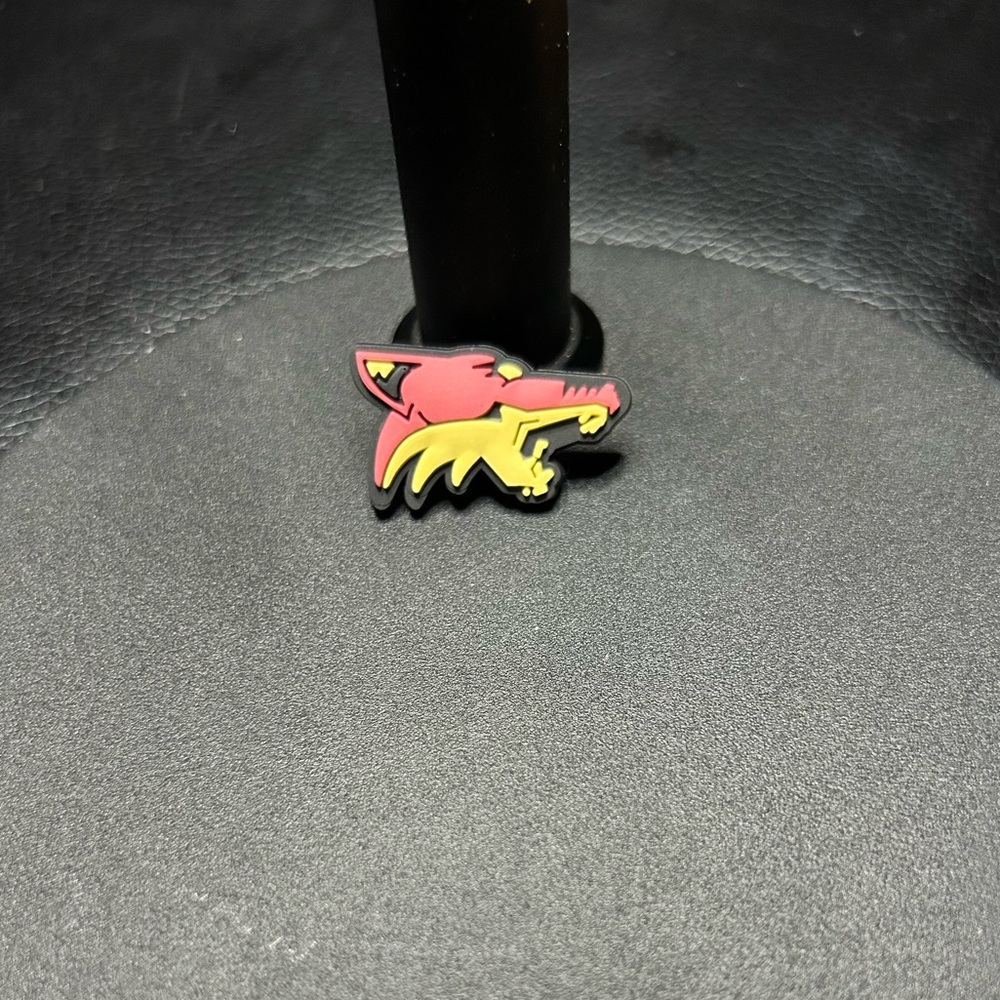 3/$8 Phoenix Coyotes Croc Charm